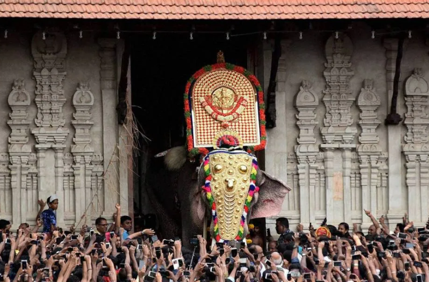  ആന എഴുന്നള്ളത്തിന് കർശന നിയന്ത്രണങ്ങളുമായി ഹൈക്കോടതി