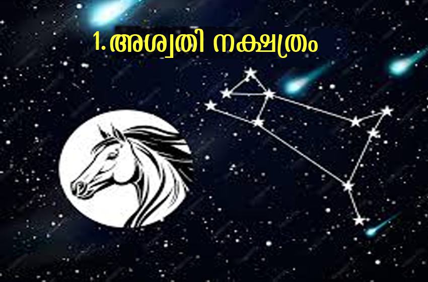 നക്ഷത്രഫലങ്ങൾ