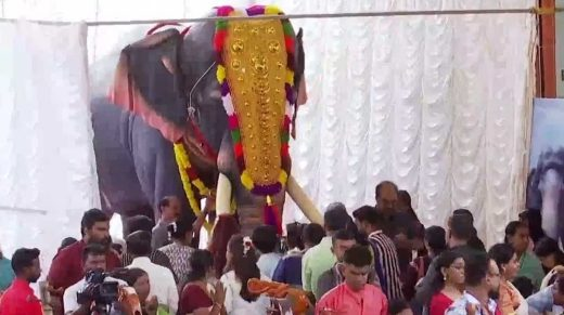  തൃപ്പൂണിത്തുറ പൂര്‍ണത്രയീശ ക്ഷേത്രത്തിലെ ആന എഴുന്നള്ളത്ത് നടത്തിയതിനെതിരെ രൂക്ഷ വിമർശനവുമായി ഹൈക്കോടതി