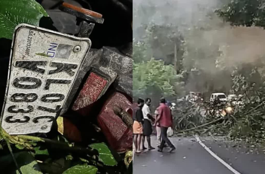  വിദ്യാർഥികൾക്ക് നേരെ കാട്ടാന പന മറിച്ചിട്ടു; വിദ്യാർഥിനിക്ക് ദാരുണാന്ത്യം