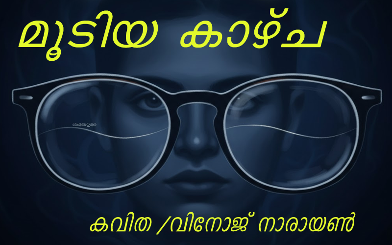  മൂടിയ കാഴ്ച