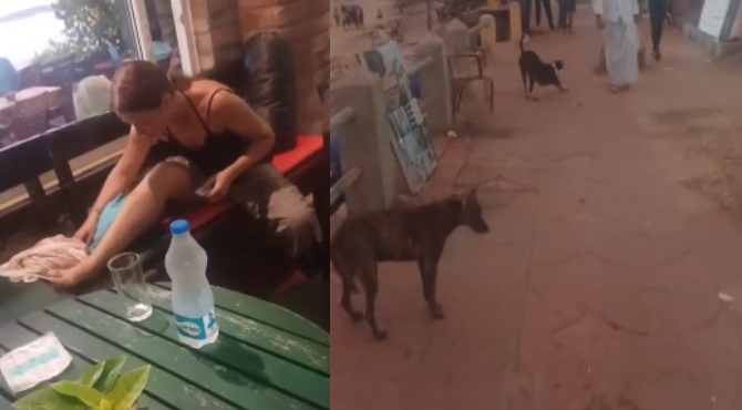  കോവളത്ത് ഭീതി: റഷ്യൻ വനിതയ്ക്ക് തെരുവുനായയുടെ കടിയേറ്റു