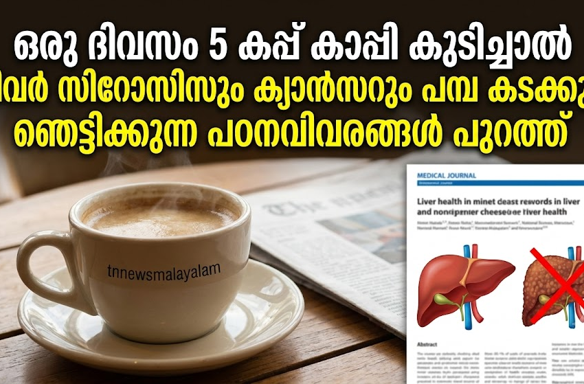  ഒരു ദിവസം 5 കപ്പ് കാപ്പി കുടിച്ചാൽ ലിവർ സിറോസിസും ക്യാൻസറും പമ്പ കടക്കും! ഞെട്ടിക്കുന്ന പഠനവിവരങ്ങൾ പുറത്ത്