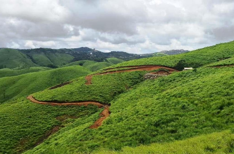  ഇടുക്കിയിൽ അനധികൃത ഭൂമി കയ്യേറ്റങ്ങൾ ഒഴിപ്പിക്കണമെന്ന് കേരള പ്ലാന്റേഷൻ മിഷൻ