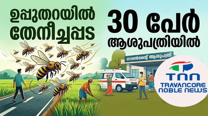  ഉപ്പുതറ ഈറ്റക്കാനത്ത് കാട്ടുതേനീച്ചയാക്രമണം: 30 ഓളം പേർക്ക് പരിക്കേറ്റു; കെ.എസ്.ആർ.ടി.സി ബസിന് നേരെയുള്ള ആക്രമണത്തിന് പിന്നാലെ ഭീതിയിൽ മലയോര മേഖല